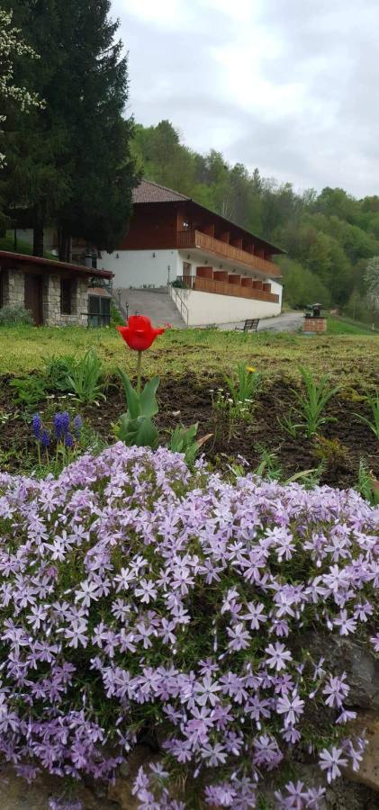 B&B Zlatna Nit Bosanska Krupa Εξωτερικό φωτογραφία